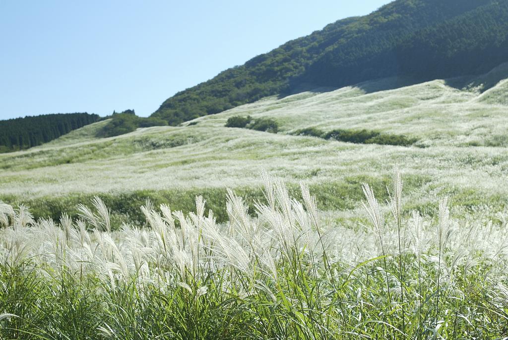 Hakone Highland Hotel Dış mekan fotoğraf