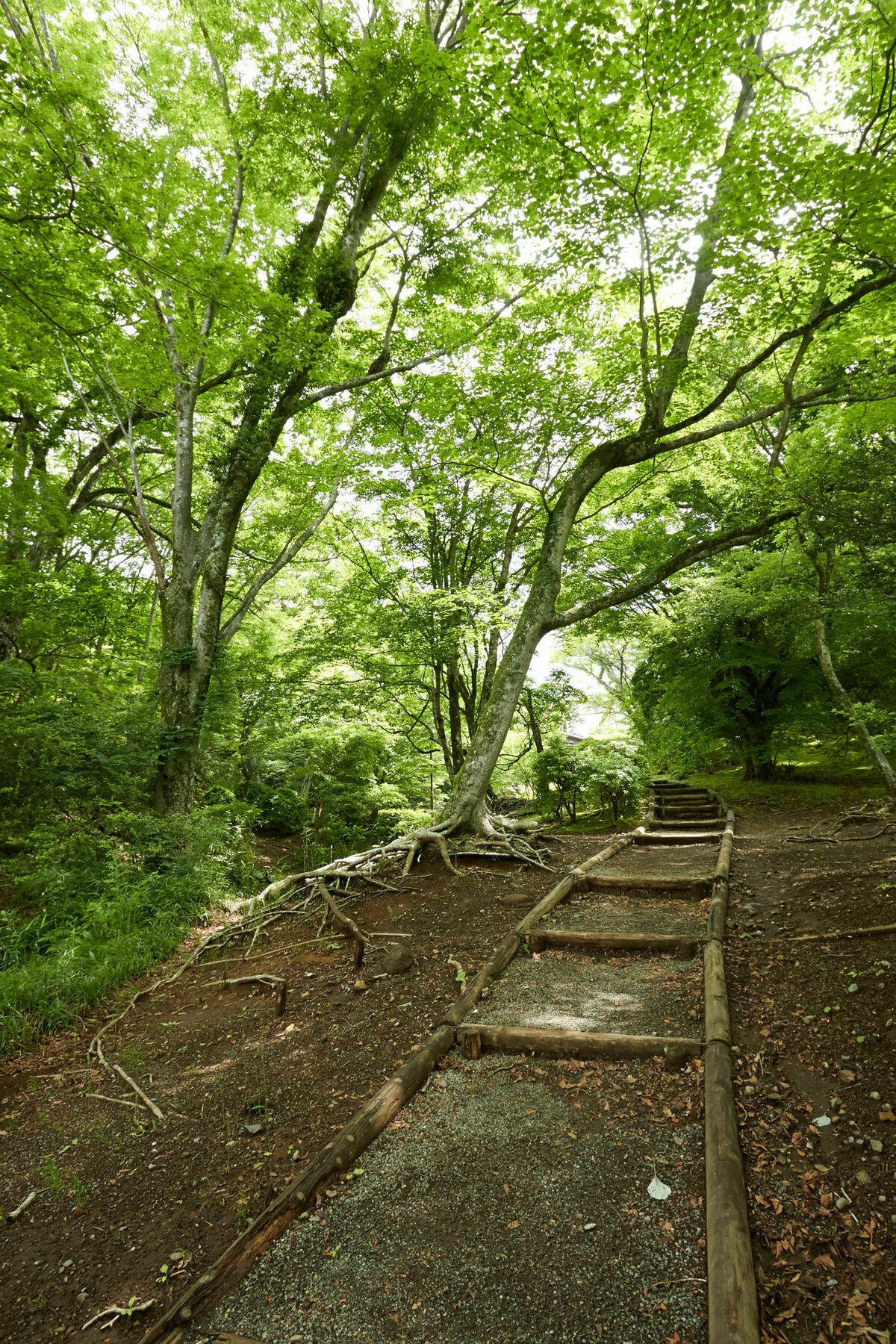 Hakone Highland Hotel Dış mekan fotoğraf